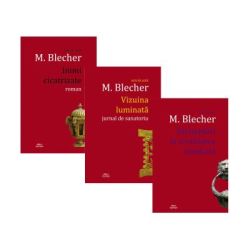 Pachet format din 3 titluri Inimi cicatrizate, Vizuina luminata, Intamplari in irealitatea imediata autor Max Blecher