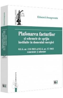 Plafonarea facturilor si scheme de sprijin instituite in domeniul energiei