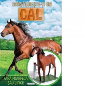 Construieste-ti un cal