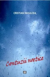 Contuzii noetice de Cristian Niculcea