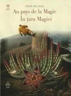 In tara Magiei de Henri Michaux