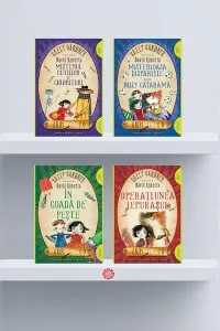 Pachet Aripi & Co (Vol. 1- 4) de Sally Gardner