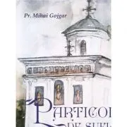 Particole de suflet de Pr. Mihai Gojgar