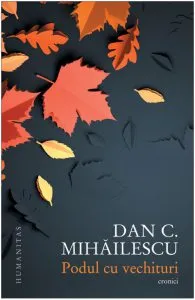 Podul cu vechituri de Dan C. Mihailescu
