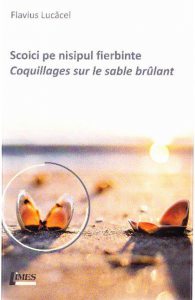 Scoici pe nisipul fierbinte. Coquillages sur le sable brulant