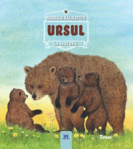 Ursul - Animale salbatice in natura