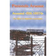 Acuzatul ZEK-18376. Un sfant in lagarele comuniste