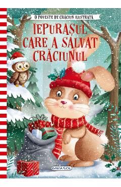 Iepurasul care a salvat Craciunul. O poveste de Craciun ilustrata
