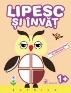 Lipesc si invat. Bufnita