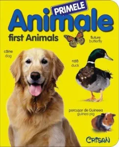 Primele animale - First Animals