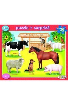 Animale domestice