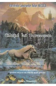 Calutul lui Dumnezeu de Constantin Necula