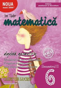 Mate 2000 inițiere. Matematică. Algebră, geometrie. Caiet de lucru. Clasa a VI-a. Semestrul II. Inițiere