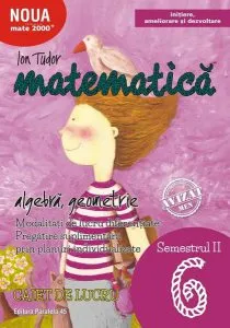 Mate 2000 inițiere. Matematică. Algebră, geometrie. Caiet de lucru. Clasa a VI-a. Semestrul II. Inițiere de Ion Tudor