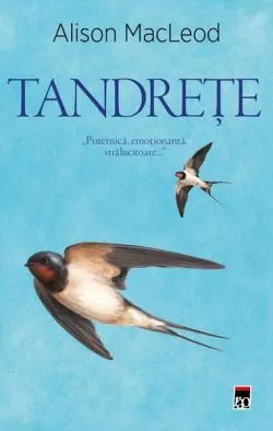 Tandrețe de Alison Macleod