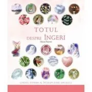 Totul despre ingeri. Ghidul suprem al intelepciunii angelice (Hazel Raven) de Hazel Raven