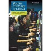 Youth Culture in China: From Red Guards to Netizens