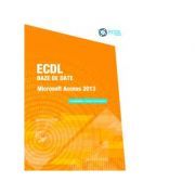 ECDL Baze de date. Microsoft Access 2013