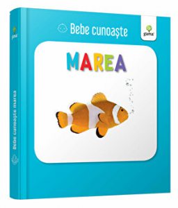 Montessori. Roci si minerale. Carti de joc educative pentru 6-12 ani