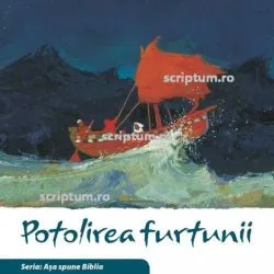 Potolirea furtunii de Kees de Kort