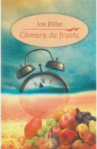 Camara de fructe
