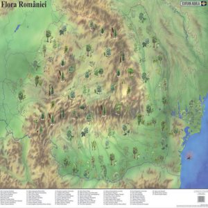 Mapa de birou Flora - Fauna