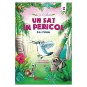 Lilli Colibri. Un sat in pericol Volumul 2 de Nina Petrick