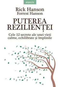 Puterea rezilienței de Forrest Hanson