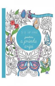 52 de saptamani pentru a prinde aripi