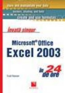 Invata singur Microsoft Office Excel in 24 de ore
