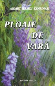 Ploaie de vara