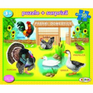 Puzzle - Pasari domestice (30 piese)