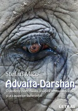 Advaita-Darshan de Stefan Mico