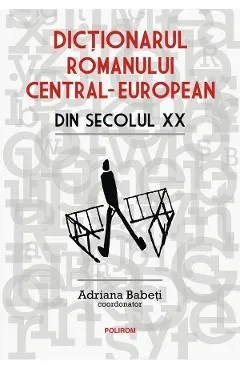 Dictionarul romanului central-european din secolul XX de Adriana Babeti
