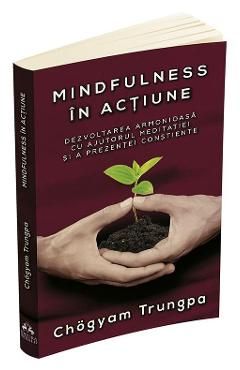 Mindfulness in actiune