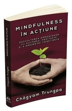 Mindfulness in actiune de Chogyam Trungpa