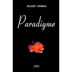 Paradigme