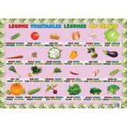 Legume