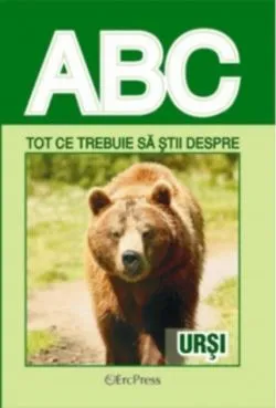 Tot ce trebuie să știi despre urși