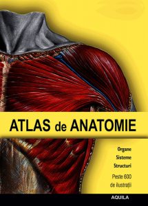 Atlas de anatomie