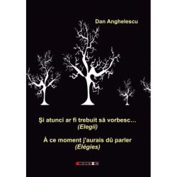 Si atunci ar fi trebuit sa vorbesc… (Elegii)