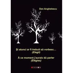 Si atunci ar fi trebuit sa vorbesc… (Elegii) de Dan Anghelescu