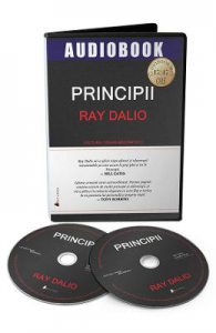 Audiobook. Principii