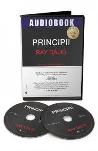 Audiobook. Principii