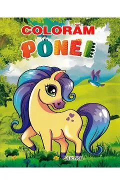 Coloram ponei de Autor Anonim