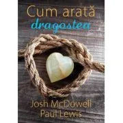 Cum arata dragostea de Josh McDowell
