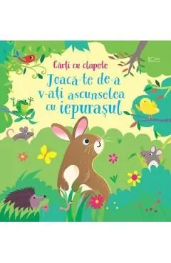 Joaca-te de-a v-ati ascunselea cu iepurasul de Sam Taplin