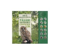 Păsări din pădure și cântecele lor