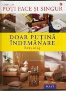 Doar putina indemanare. Bricolaj de Dietrich Engelhard