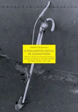 O singurătate destul de zgomotoasă de Madalina Brasoveanu